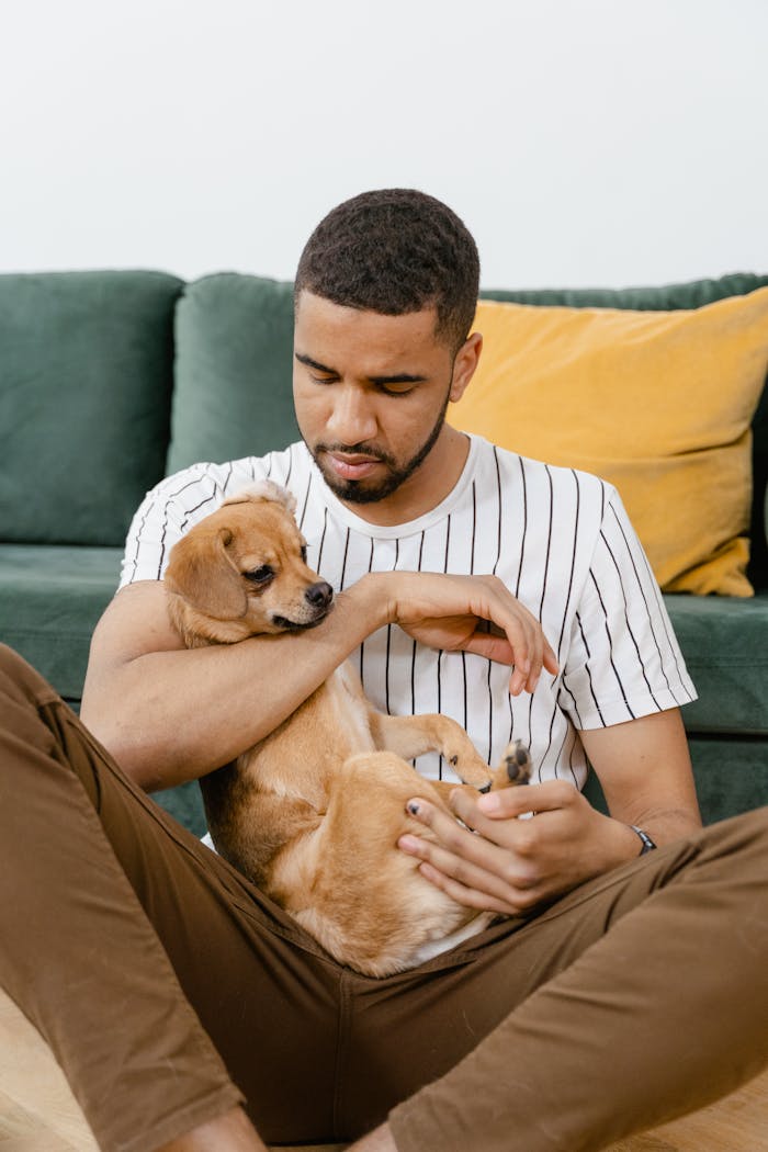 services-01 A man lovingly holds his Chihuahua on a couch, displaying a moment of relaxation and companionship.